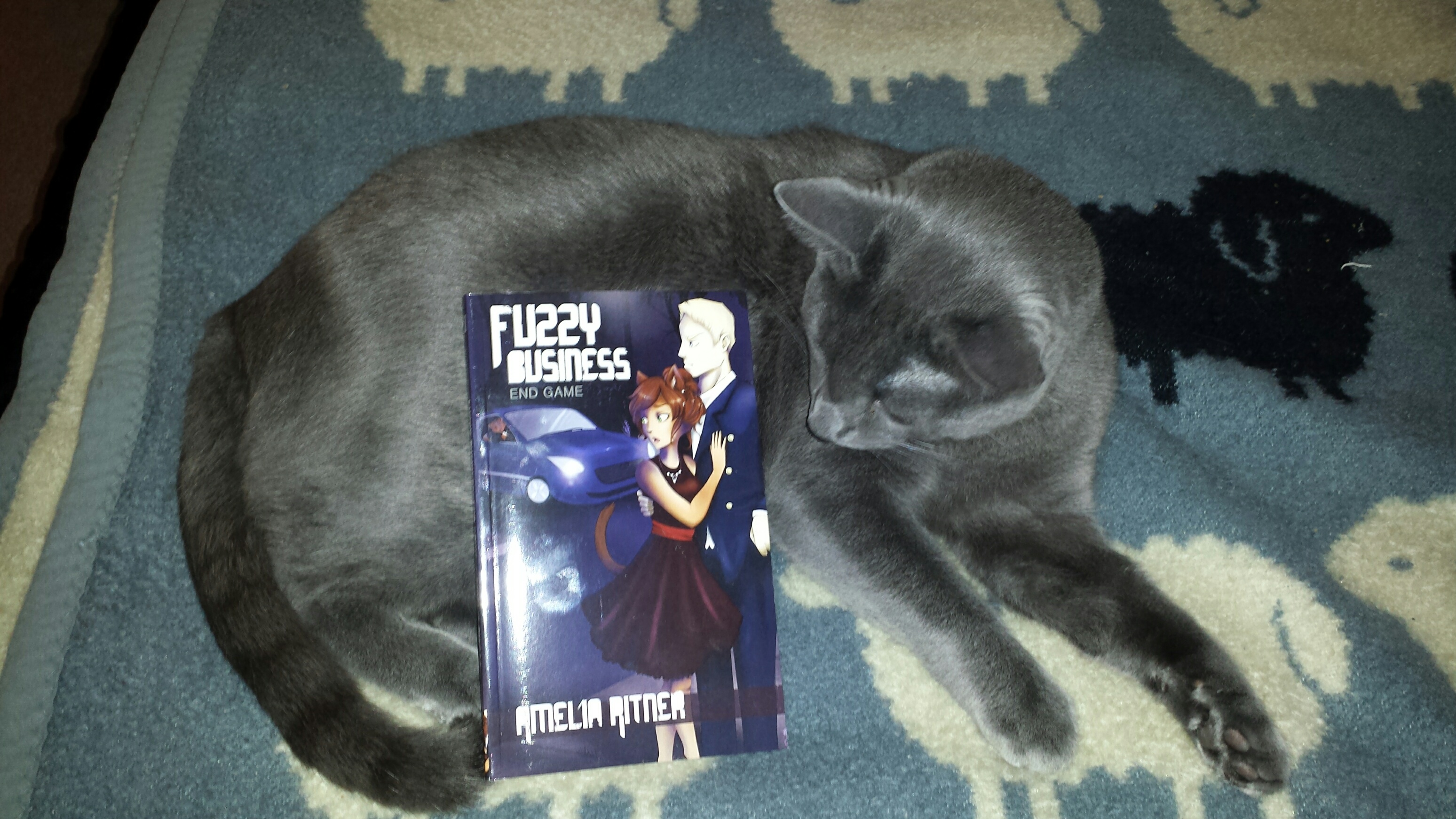 20151121_160211_resized