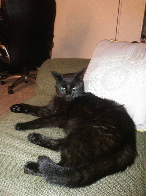 11988247_896687147034033_7072922845623483269_n