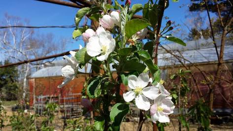 13124763_10208878863639325_2374830997165412466_n